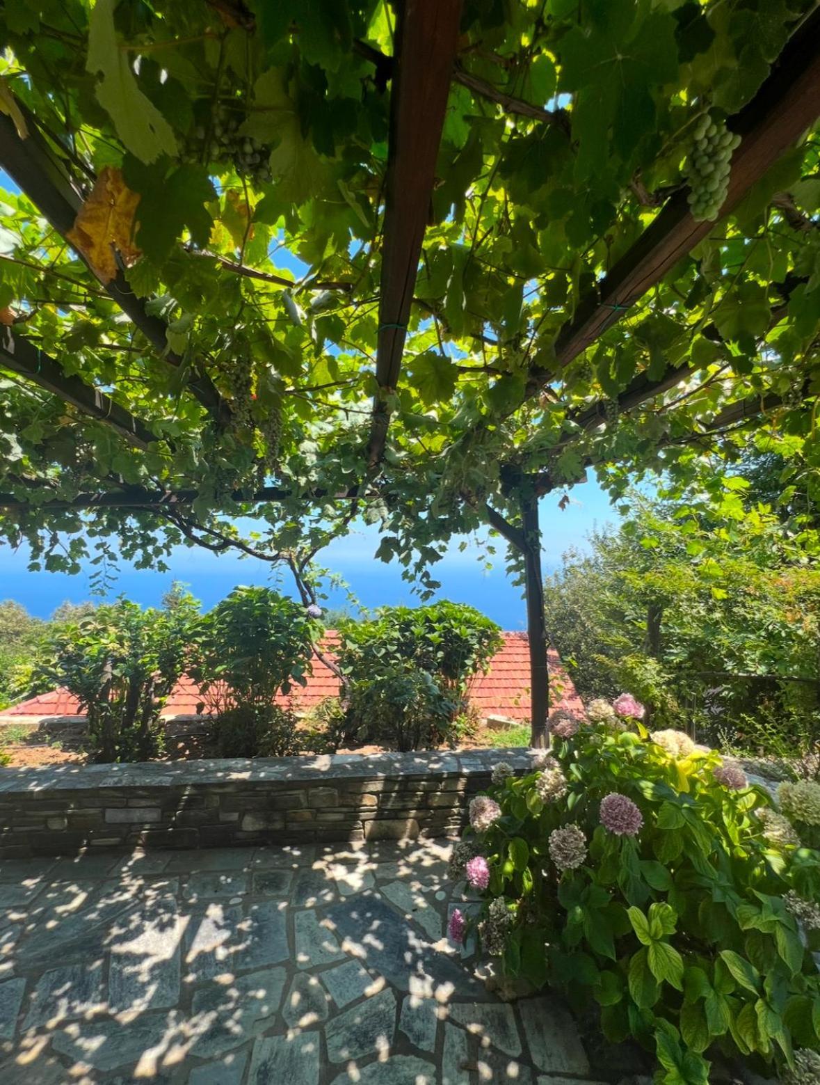 Om Living Pelion Διαμέρισμα Áyios Dhimítrios Εξωτερικό φωτογραφία